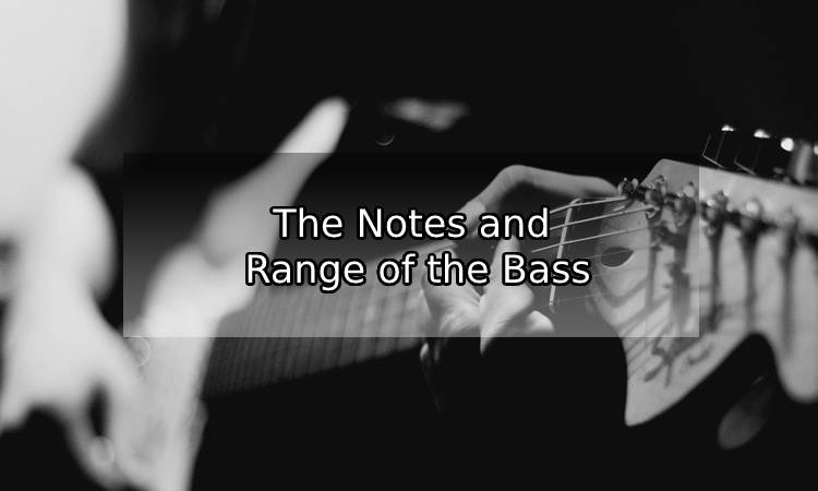 The Notes and Range of the Bass