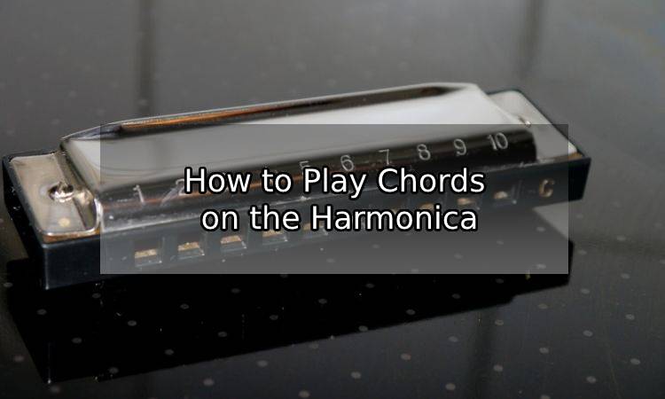 How to Play Chords on the Harmonica