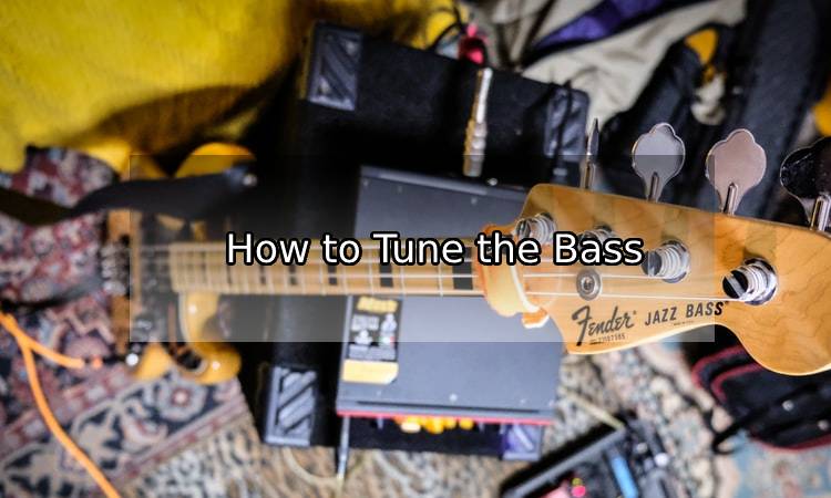 Beginner’s Guide to Tuning a Bass Guitar