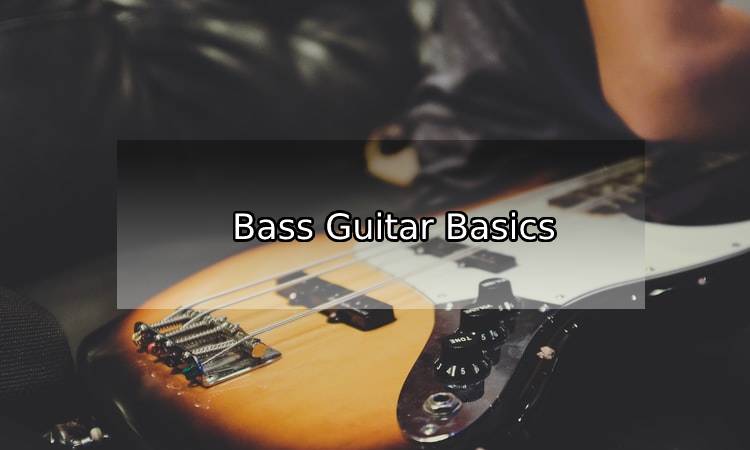 Bass Guitar Basics