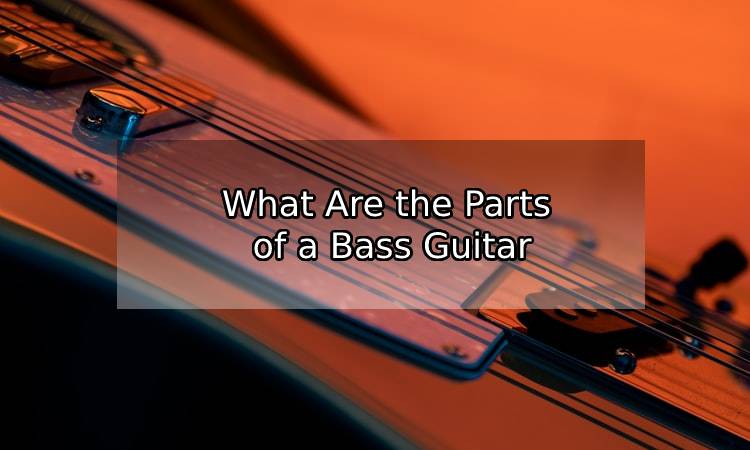 What Are the Parts of a Bass Guitar