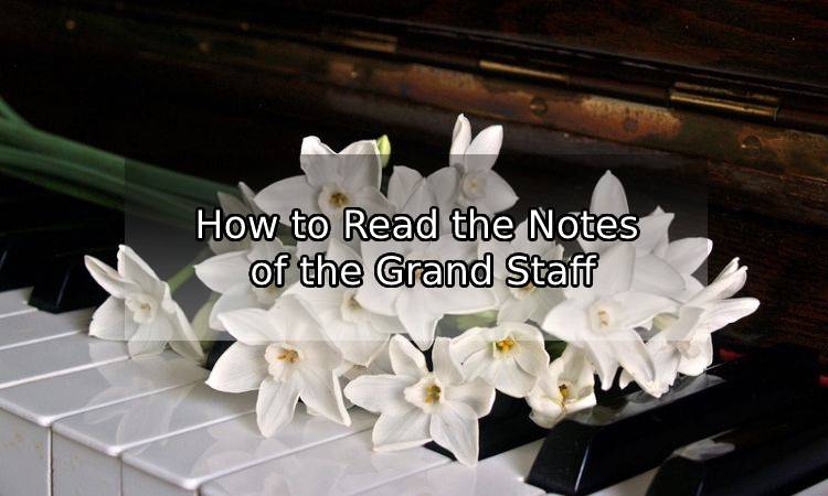 How to Read the Notes of the Grand Staff