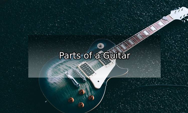 Parts of a Guitar