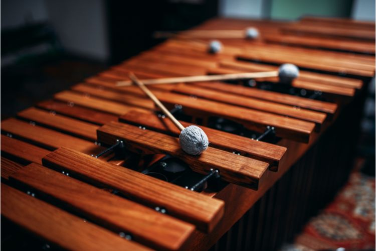 Xylophone - Wooden Percussion Instrument